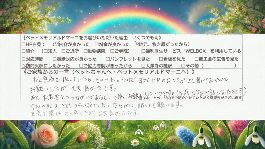 静岡県牧之原市 F様よりいただいた、じゅじゅちゃん(ビーグル・14才)のペット訪問火葬アンケート
