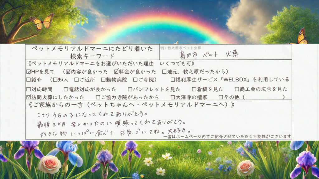 静岡県島田市　ペット訪問火葬　訪問ペット火葬　ペットメモリアル ドマーニ　ミニチュアダックスフンド　こてつくん　ありがとう　大好き