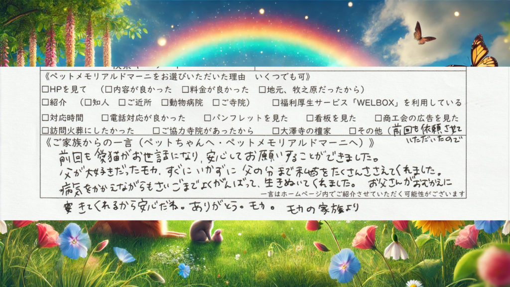 静岡県藤枝市 訪問ペット火葬 ペット訪問火葬 犬 マルチーズ チワワ MIX 個別火葬 自宅火葬 ペット葬儀 ペット供養 二度目のご依頼 ご家族の信頼 お父様を慕っていた子 ペットメモリアル ドマーニ