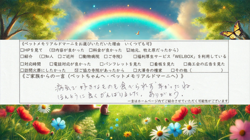 猫 保護猫 ペット火葬 猫火葬 立会火葬 個別火葬 一任埋葬 供養塔 ぷぅちゃん 吉田町 ペット訪問火葬 ペットメモリアル ドマーニ 静岡県 ペット葬儀 ペット供養