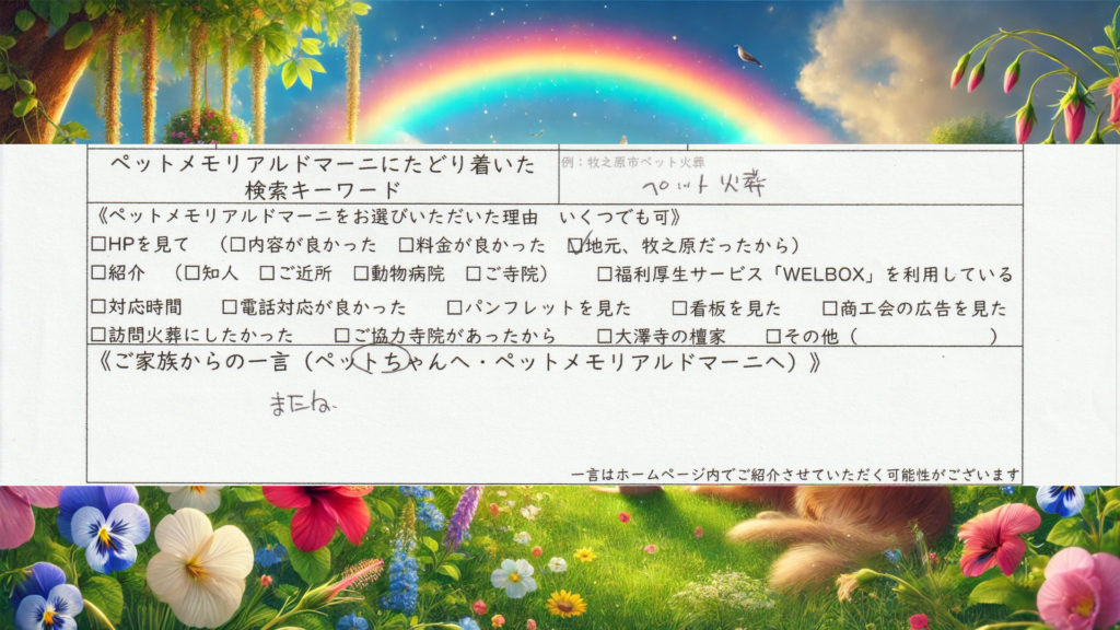 静岡県 御前崎市 ペット火葬 個別火葬 訪問ペット火葬 ペット訪問火葬 空くん チワワ ミニチュアピンシャー ミニピン