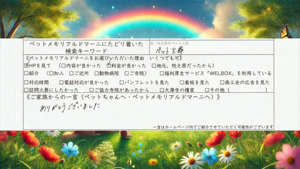 静岡県 浜松市 ペット火葬 個別火葬 訪問ペット火葬 ペット訪問火葬 立会火葬 ゼロくん ヨークシャテリア