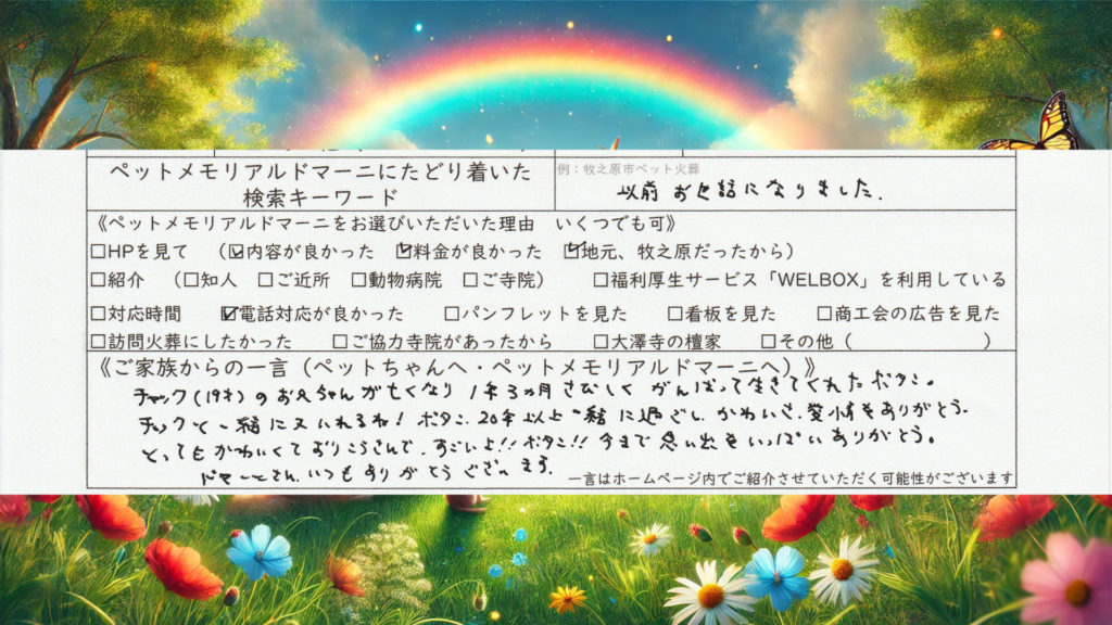 猫 ペット火葬 猫火葬 個別火葬 立会火葬 ボタンちゃん 牧之原市 ペット訪問火葬 ペットメモリアル ドマーニ 静岡県 ペット葬儀 ペット供養 ご供養
