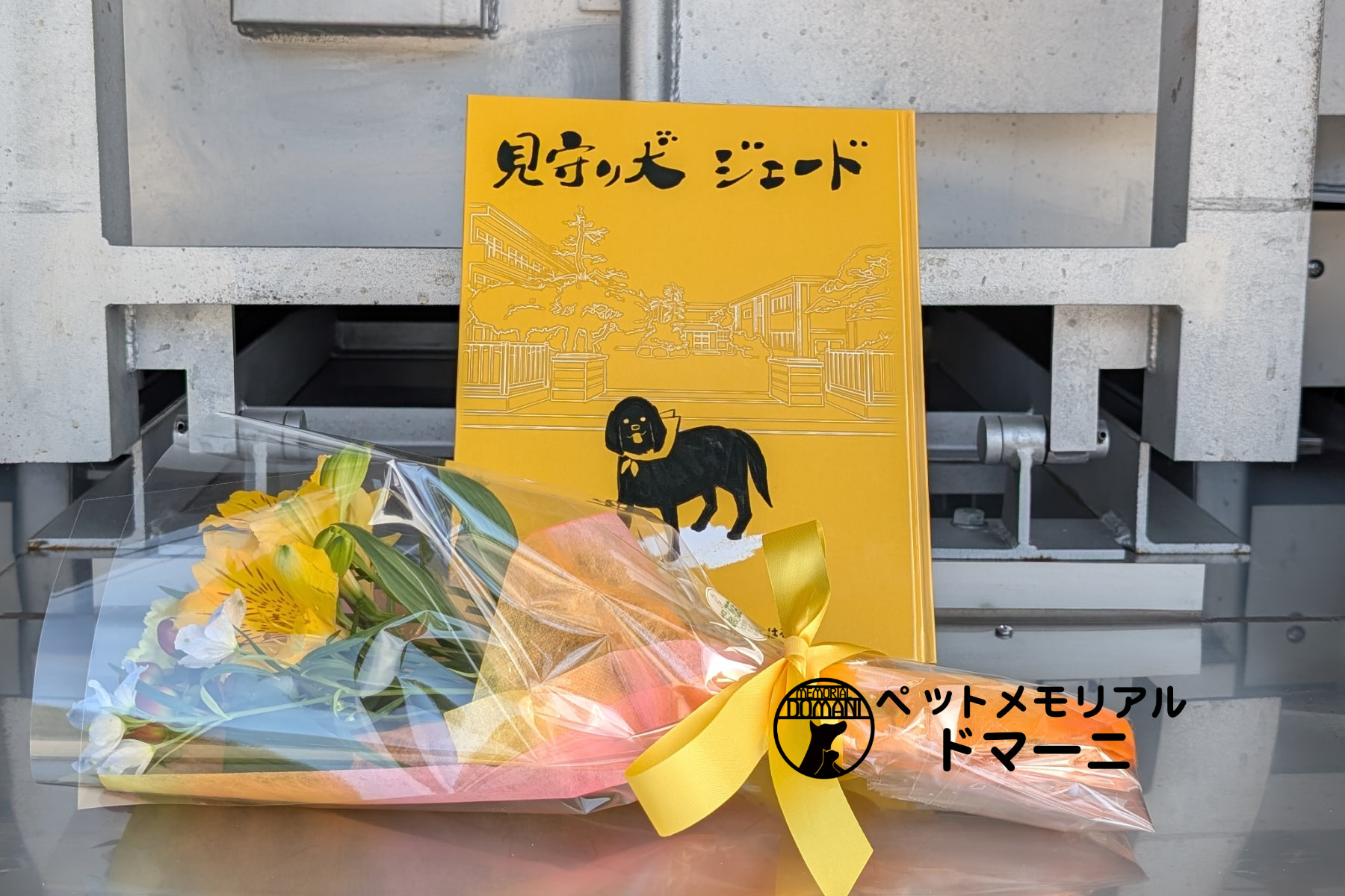 見守り犬 ジェード | ペット訪問火葬ペットメモリアルドマーニ