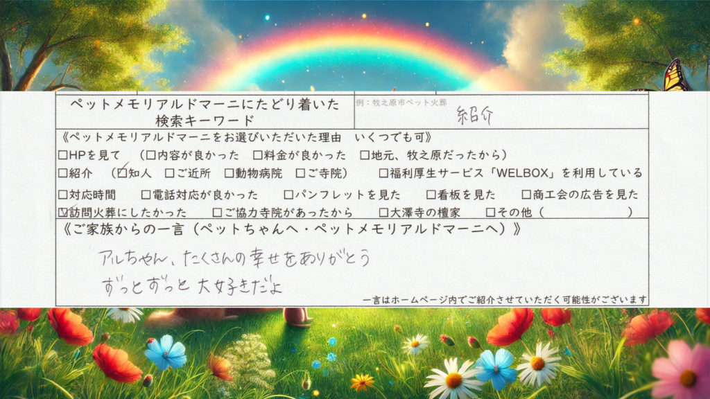 犬 ペット火葬 犬火葬 個別火葬 訪問ペット火葬 ペット訪問火葬 アルくん トイプードル 浜松市 ペットメモリアル ドマーニ 静岡県 ペット葬儀 ペット供養