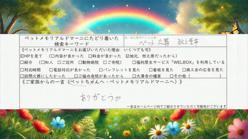 犬 ペット火葬 犬火葬 個別火葬 立会火葬 クッキーくん シェットランドシープドッグ シェルティ 牧之原市 訪問ペット火葬 ペット訪問火葬 ペットメモリアル ドマーニ 静岡県 ペット葬儀 ペット供養